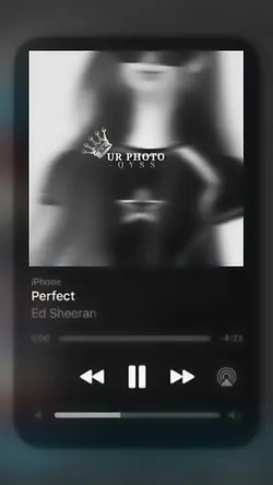 Perfect