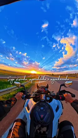 Sigo vivendo…