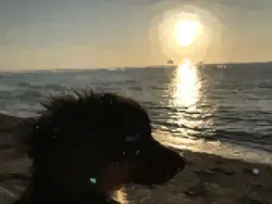 流行りを生き返らせる！