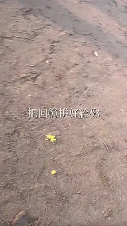 把回憶拼好給你