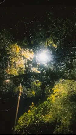 ____