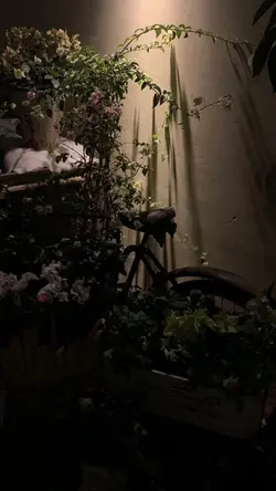 3107..