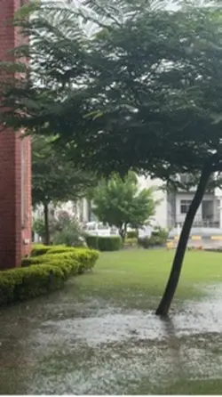 Rain barish weather 