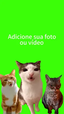 Gatinhos.