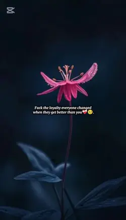loyalty 
