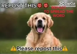 SHARE THIS PLSS