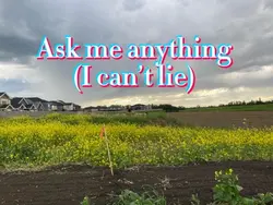Ask me anything!!