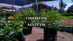 cinematik