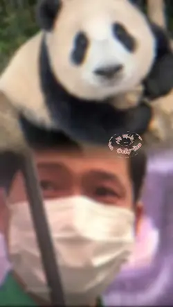 我爱你