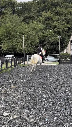 Speedy pony❤️
