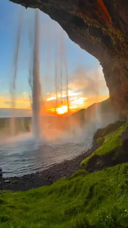 7 video wild nature