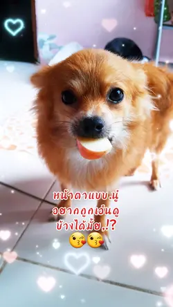 อยากถูกเอ็นดู