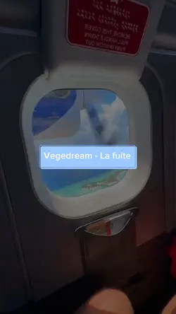 vegedream - la fuite
