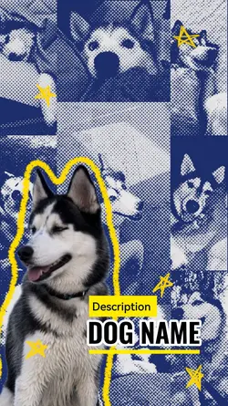pet intro