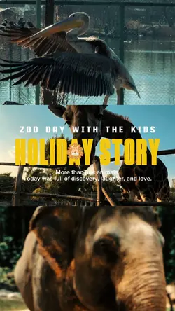 Holiday Story Vlog