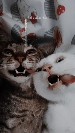 satu atau dua