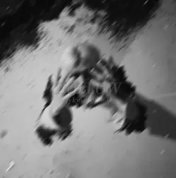 hollow