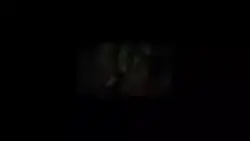 template videografi 