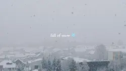 fall of snow ⛄️ 