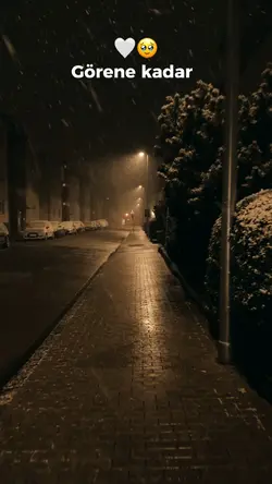 Yeni şablon