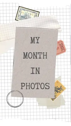 My month in photos 