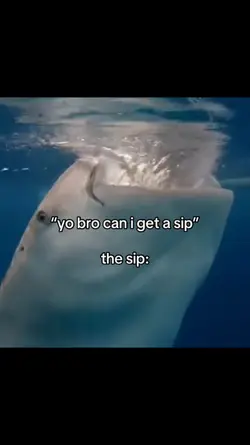 that one bro