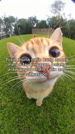 Tiisin muna natin