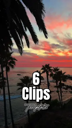 6 Clips 