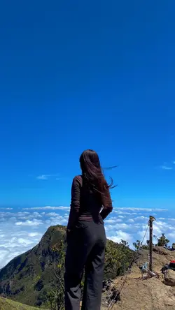 video aesthetic