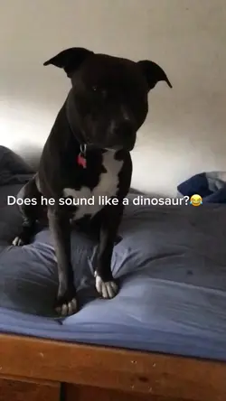 That scream 😂