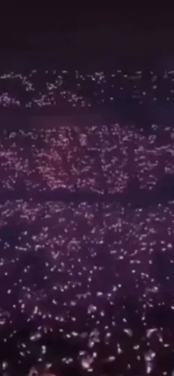 BLACKPINK 