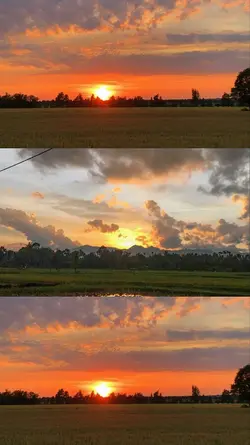 3 pics