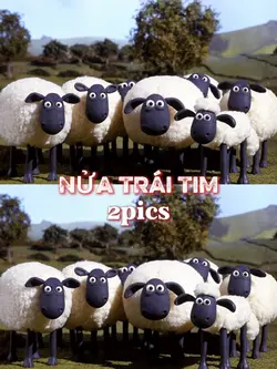 Nửa trái tim