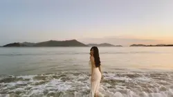 Stray.wav 1 Video