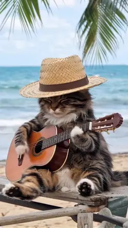 cat guitar music 