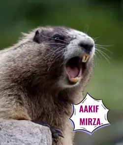 AAKIF MIRZA 