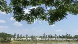 APRIL DUMP 