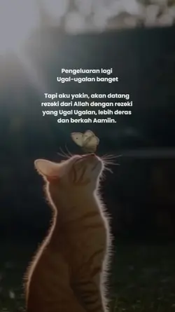 Pengeluaran lagi