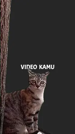 Kucing Kaget 