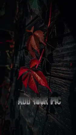 black template 