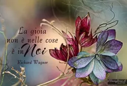 modello surprise 