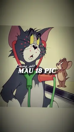 Mẫu 18 ảnh