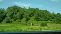 Speed landscape