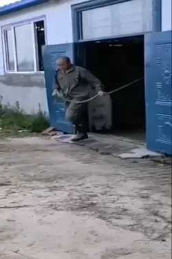 szablon 