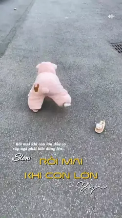 Rồi mai khi con lớn