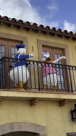 Donald and Daisy
