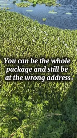 Wrong places