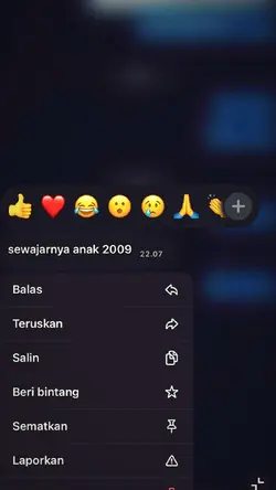 sewajarnya anak 2009