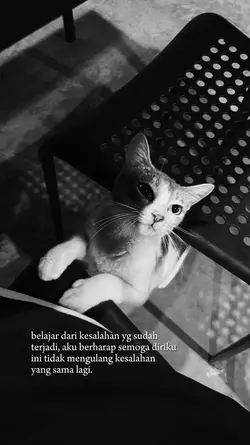 belajar dari kesalhn