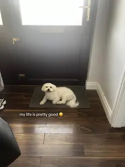 hi fred